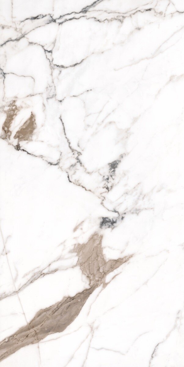 Paonazzo 60x120 cm - Full Lap