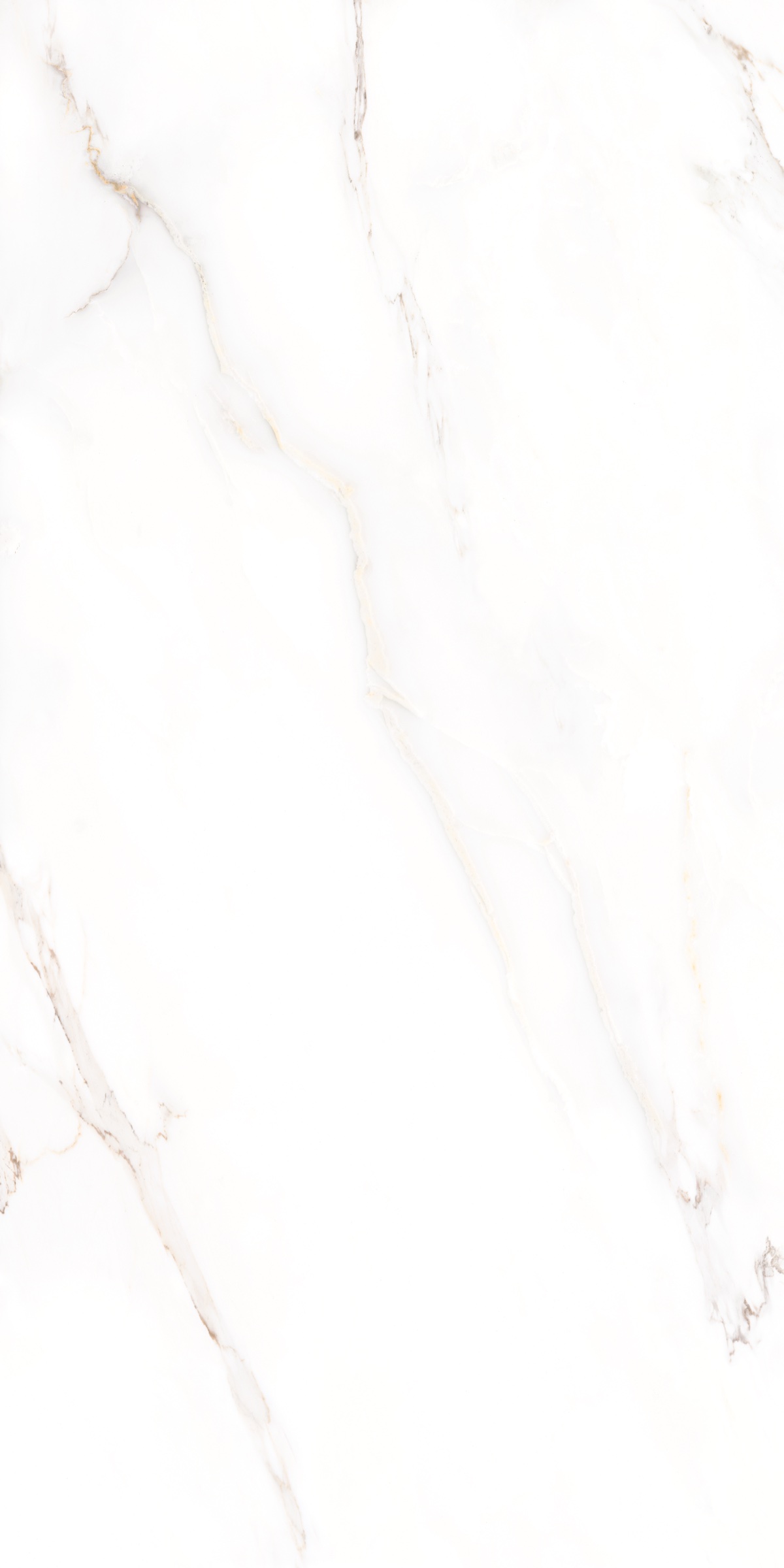 Calacatta 60x120 cm